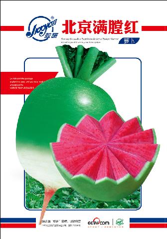 Beijing Mantanghong——Radish